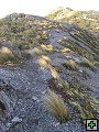 thn_Ruahine - Sunrise Hut 045.jpg